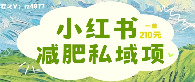 小红书减肥粉，私域变现项目，一单就达210元，小白也能轻松上手【揭秘】-小i项目网