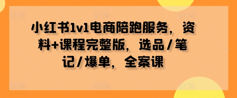 小红书1v1电商陪跑服务，资料+课程完整版，选品/笔记/爆单，全案课-小i项目网