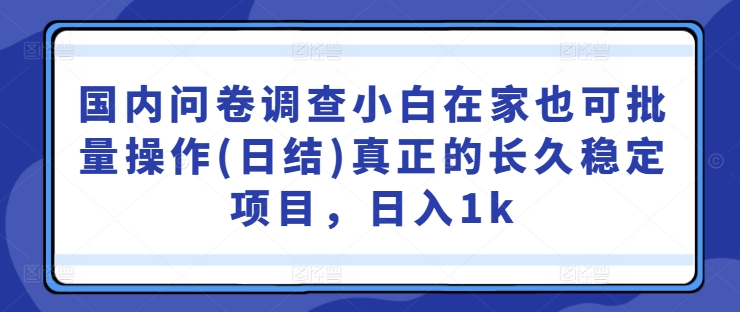 国内问卷调查小白在家也可批量操作(日结)真正的长久稳定项目，日入1k【揭秘】-小i项目网