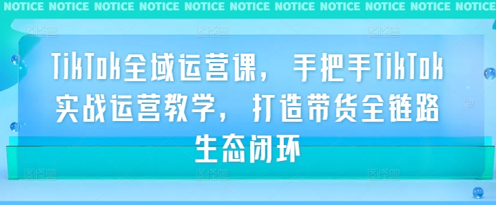 TikTok全域运营课，手把手TikTok实战运营教学，打造带货全链路生态闭环-小i项目网