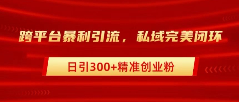 跨平台暴力引流，私域完美闭环，日引100+精准创业粉-小i项目网