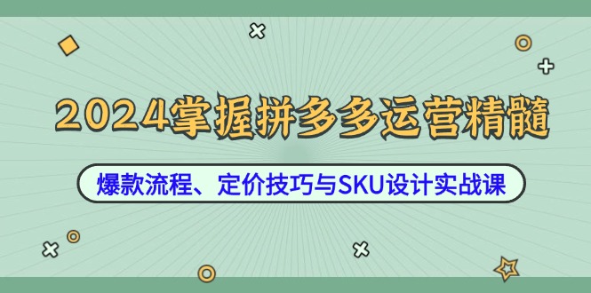 2024掌握拼多多运营精髓：爆款流程、定价技巧与SKU设计实战课-小i项目网