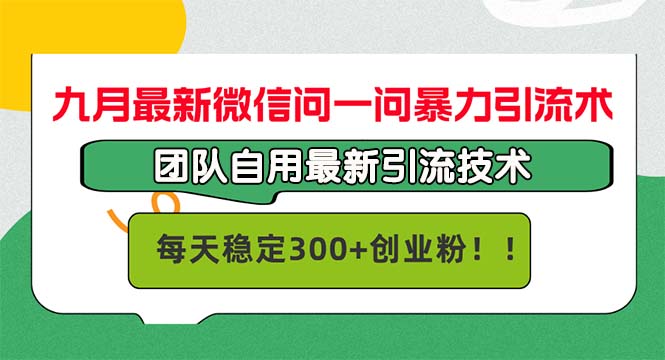 （12735期）九月最新微信问一问暴力引流术，团队自用引流术，每天稳定300+创…-小i项目网