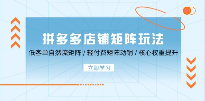 拼多多店铺矩阵玩法：低客单自然流矩阵 / 轻付费矩阵 动销 / 核心权重提升-小i项目网