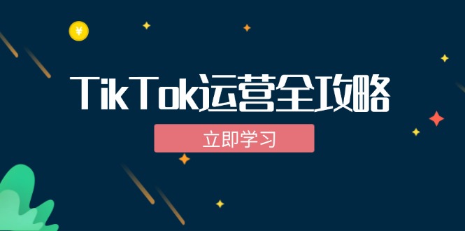 （12739期）TikTok实战运营全攻略：从下载软件到变现，抖音海外版实操教程-小i项目网