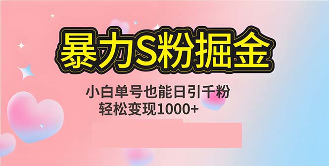 （12778期）单人单机日引千粉，变现1000+，S粉流量掘金计划攻略-小i项目网