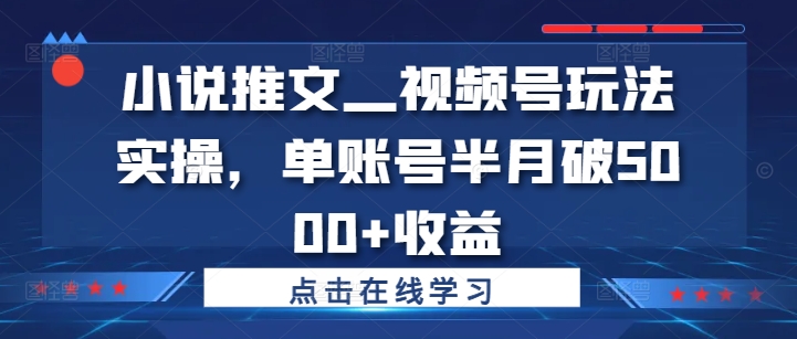 小说推文—视频号玩法实操，单账号半月破5000+收益-小i项目网