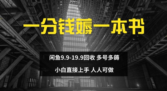 一分钱薅一本书 闲鱼9.9-19.9回收 多号多薅 小白直接上手-小i项目网