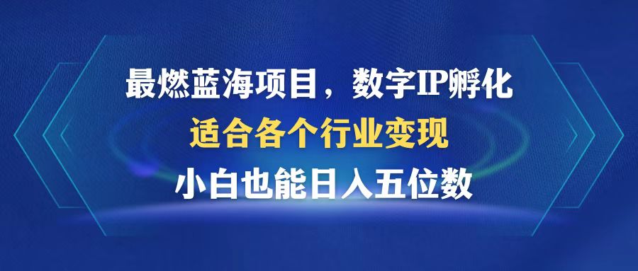 （12941期）超燃蓝海项目  数据IP卵化  适合各个领域转现  新手也可以日入5个数-小i项目网