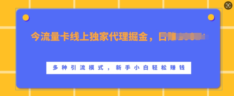 上网卡网上独家经营掘金队，日入1k ，多种多样引流方法方式，新手入门快速上手【揭密】-小i项目网