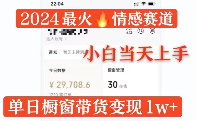 2024最红情绪跑道单月转现破万，多平台分发，100%原创设计游戏玩法，新手当日入门-小i项目网