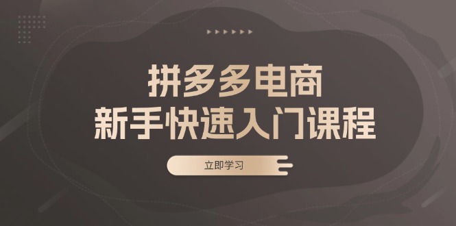 （13289期）拼多多电商新手快速入门课程：涵盖基础、实战与选款，助力小白轻松上手-小i项目网