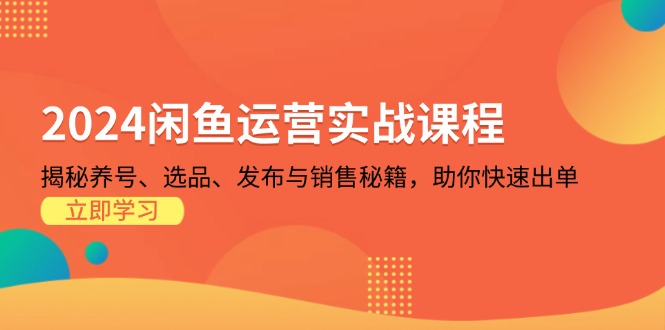 （13290期）2024闲鱼运营实战课程：揭秘养号、选品、发布与销售秘籍，助你快速出单-小i项目网