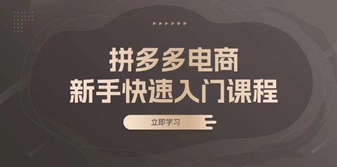 拼多多电商初学者迅速入门课程：包含基本、实战演练与选品，助推新手快速上手-小i项目网