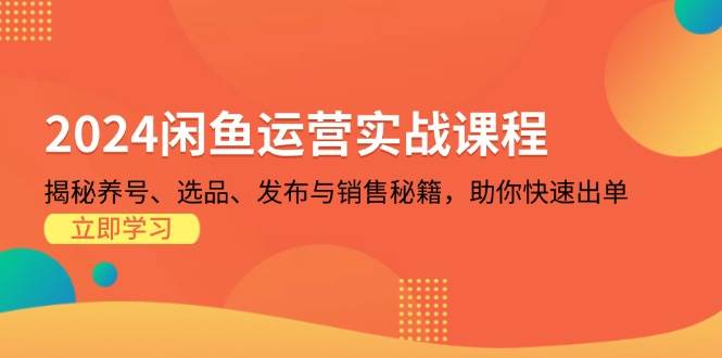 2024闲鱼运营实战课程：揭秘养号、选品、发布与销售秘籍，助你快速出单-小i项目网