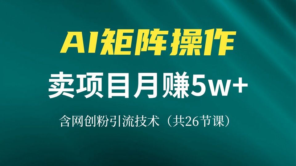 （13335期）网创IP打造出课，依靠AI卖项目月赚5万 ，含引流技术（共26堂课）-小i项目网