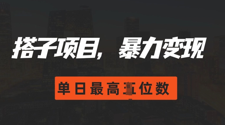 2024搭子玩法，0门槛，暴力变现，单日最高破四位数【揭秘】-小i项目网