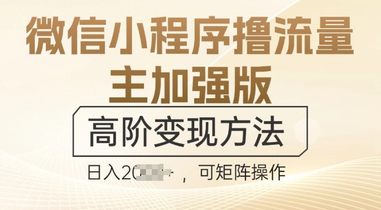 微信小程序撸流量主加强版，高阶变现方法，日收益多张-小i项目网