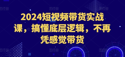 2024短视频带货实战课，搞懂底层逻辑，不再凭感觉带货-小i项目网