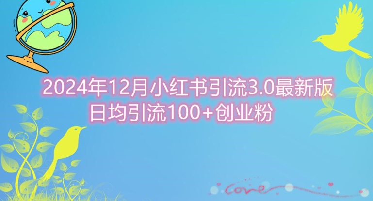 2024年12月小红书引流最新版，日均引流100+创业粉-小i项目网