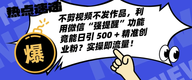 不剪视频不发作品，视频号私信日引 500 + 精准创业粉?实操即流量!-小i项目网