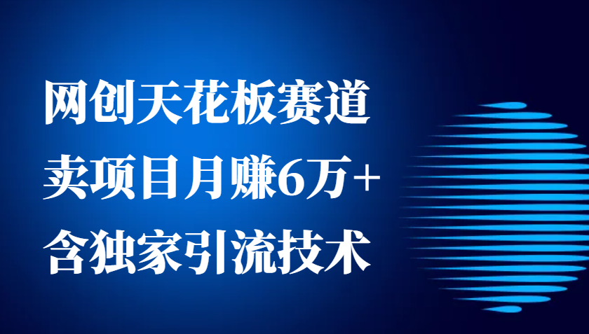 网创天花板赛道，卖项目月赚6万+，含独家引流技术（共26节课）-小i项目网