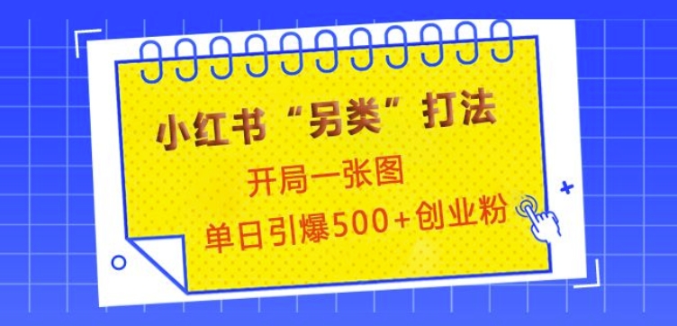 小红书“另类”打法，开局一张图，单日引爆500+精准创业粉【揭秘】-小i项目网