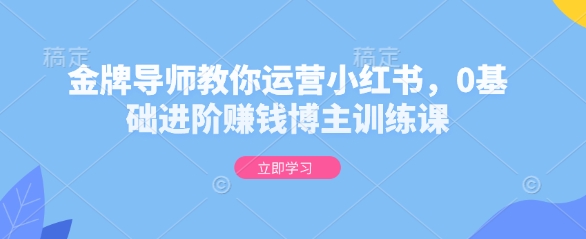 金牌导师教你运营小红书，0基础进阶赚钱博主训练课-小i项目网