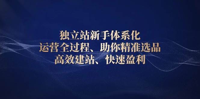 独立站新手体系化 运营全过程，助你精准选品、高效建站、快速盈利-小i项目网