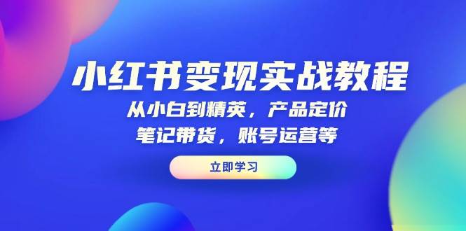 小红书变现实战教程：从小白到精英，产品定价，笔记带货，账号运营等-小i项目网