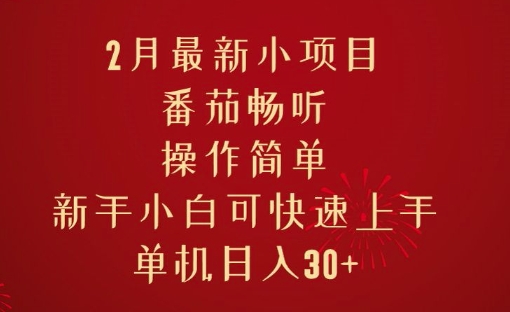 2月最新小项目，番茄畅听，操作简单，新手小白可快速上手，单机日入30+-小i项目网