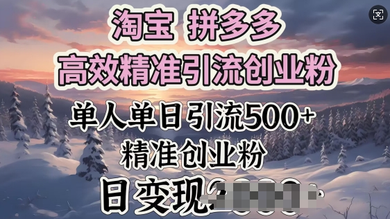 淘宝拼多多高效率精准引流方法自主创业粉，单人单日引流方法500 自主创业粉，日转现好几张-小i项目网