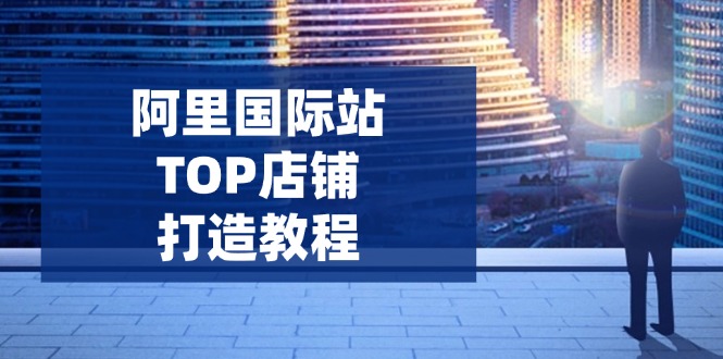 （14269期）阿里巴巴国际TOP店面打造出实例教程：包含服务平台到高级，处理经营困难，提高外贸询盘-小i项目网