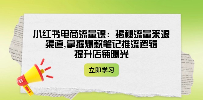 （14318期）小红书电商总流量课：揭密流量渠道方式,把握爆品手记拉流逻辑性,提升店铺曝出-小i项目网