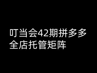 钉铛会拼多多平台打穿班原创设计高级技术性第42期，拼多多平台店铺代管引流矩阵-小i项目网