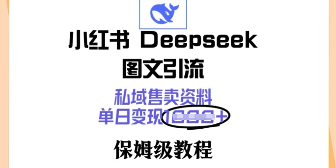 小红书的Deepseek图文并茂引流方法，公域出售材料，单日转现好几张，家庭保姆级实例教程-小i项目网