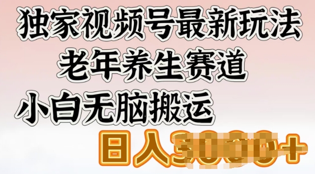 原创视频号全新游戏玩法，老年养生跑道，新手没脑子运送，日入好几张-小i项目网