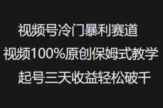 微信视频号小众爆利跑道短视频100%原创设计跟踪服务课堂教学养号三天盈利轻轻松松破千-小i项目网