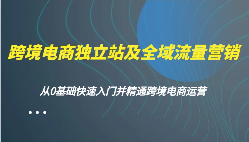 跨境电商电商独立站及全域流量营销推广，从0根本快速上手并熟练跨境电商运营-小i项目网