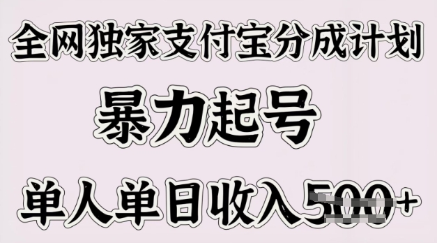 各大网站独家代理支付宝钱包分为方案，暴力行为养号，单人单日收益好几张-小i项目网