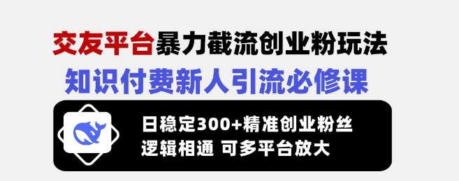 交友网站暴力行为截留自主创业粉游戏玩法，社交电商新手引流方法必修课程，日平稳300 精确自主创业粉丝们，逻辑性互通可全平台变大-小i项目网