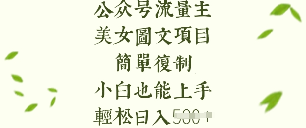 微信流量主长期收益新项目，美女照片简易拷贝，新手也可以入门，轻轻松松日入5张-小i项目网