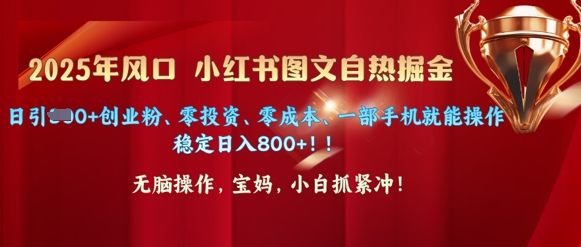 25年出风口小红书的图文并茂掘金队，日引300 自主创业粉、零投资、零成本、一部手机就能实际操作-小i项目网