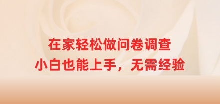 在家里轻轻松松做问卷调查，新手也可以入门，无需经验-小i项目网