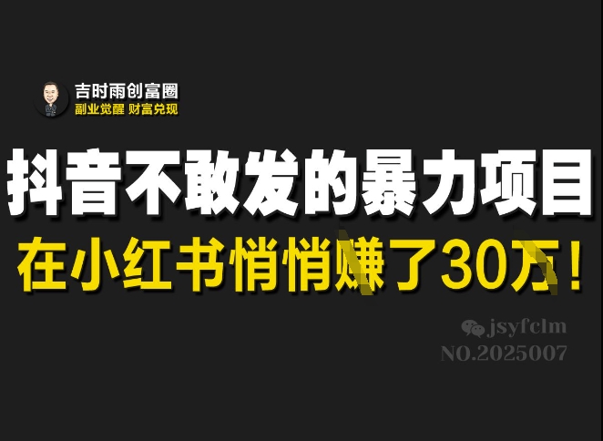 抖音视频害怕发出来的赚钱项目，在小红书悄悄的赚了30W-小i项目网