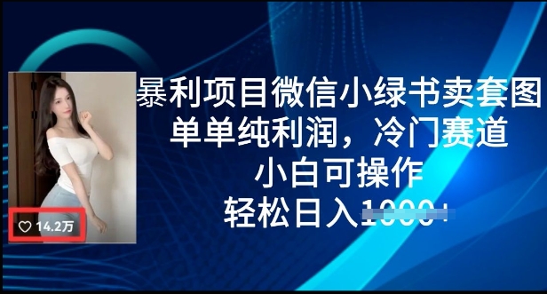 赚钱项目微信小绿书卖套图，仅仅净利润，小众跑道， 小白可实际操作，轻轻松松日入好几张-小i项目网