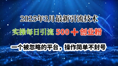 2025年3月全新引流技术，实际操作每日引流方法500 自主创业粉，一个被忽视服务平台，使用方便防封号-小i项目网