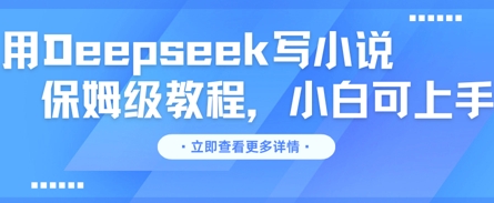 用Deepseek写网络小说，家庭保姆级实例教程，小白可实际操作-小i项目网